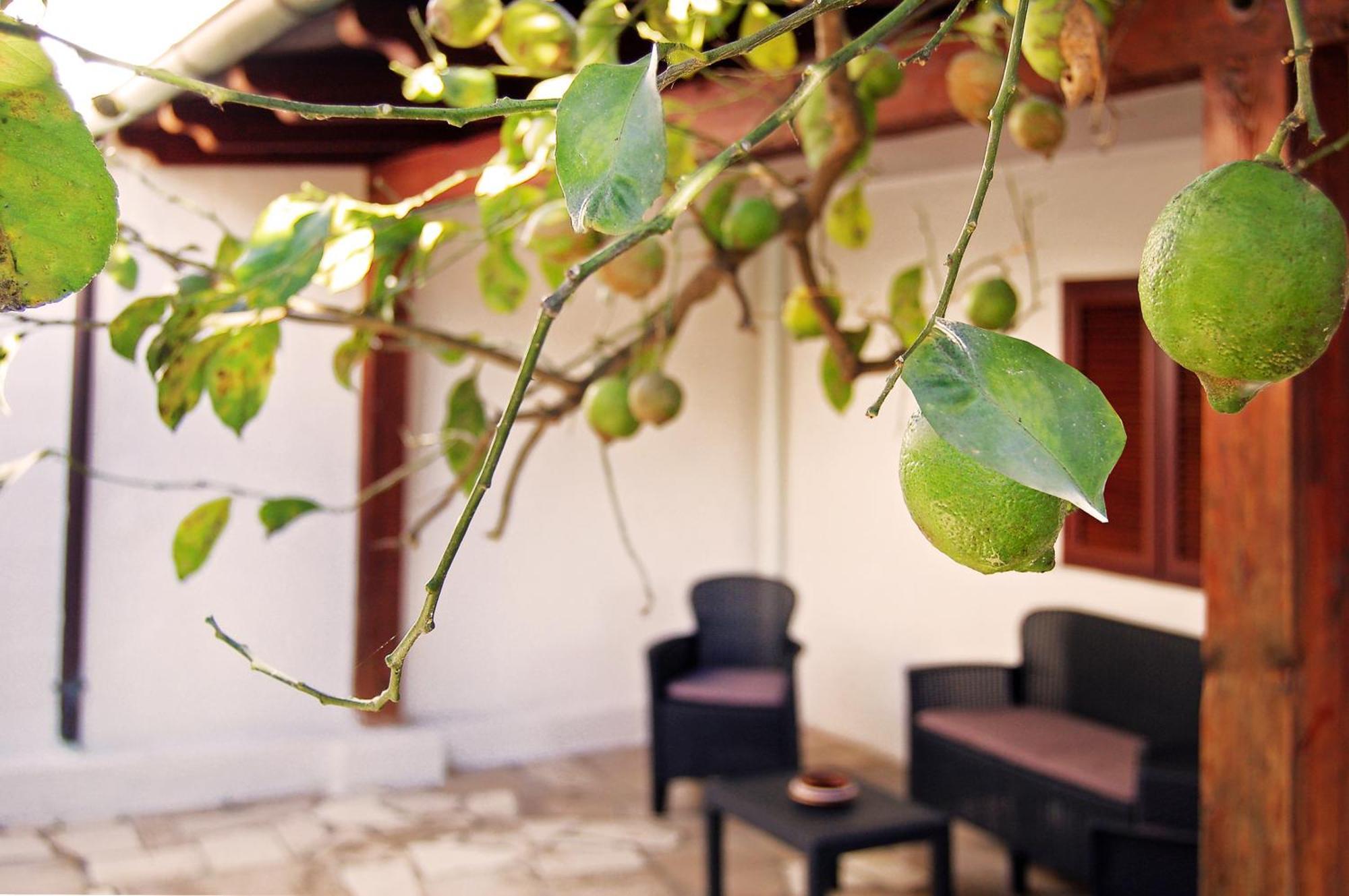 Sea Breeze Villa - Luna Apartment Bari Ngoại thất bức ảnh